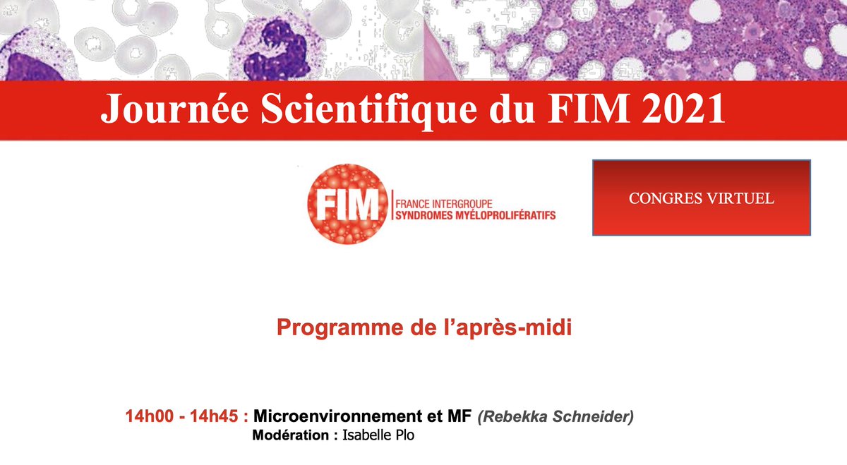 Tomorrow we'll have the pleasure to welcome <a href="/rschneiderlab/">Rebekka Schneider</a> for a plenary lecture during the 2021 Annual Scientific Meeting of <a href="/FimMpn/">FIM</a>.
#mpnsm <a href="/valerie_ugo/">Valérie Ugo</a> <a href="/isabelle_plo/">Plo isabelle</a> @StephaneSgir