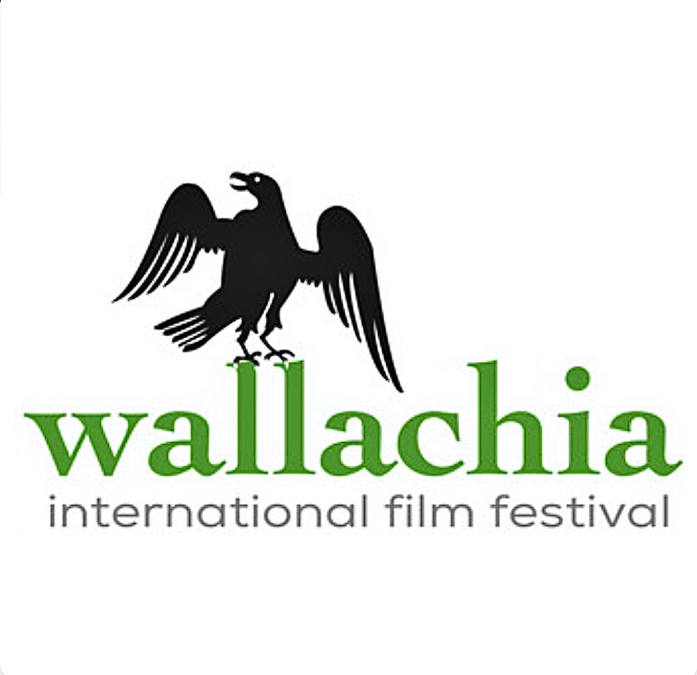 WaitingGames_'s tweet photo. Waiting Games has WON an HONORABLE MENTION at Wallachia International Film Festival. Home of Vlad the Impaler aka Dracula, we’re stoked!!!! Get it?  
#bestmicroshort #bestmicroshortfilm 
#bestactress #bestmicromovie #bestduo #bestacting #bestmicrofilm 
#bestchildactress https://t.co/MKNRciCiew