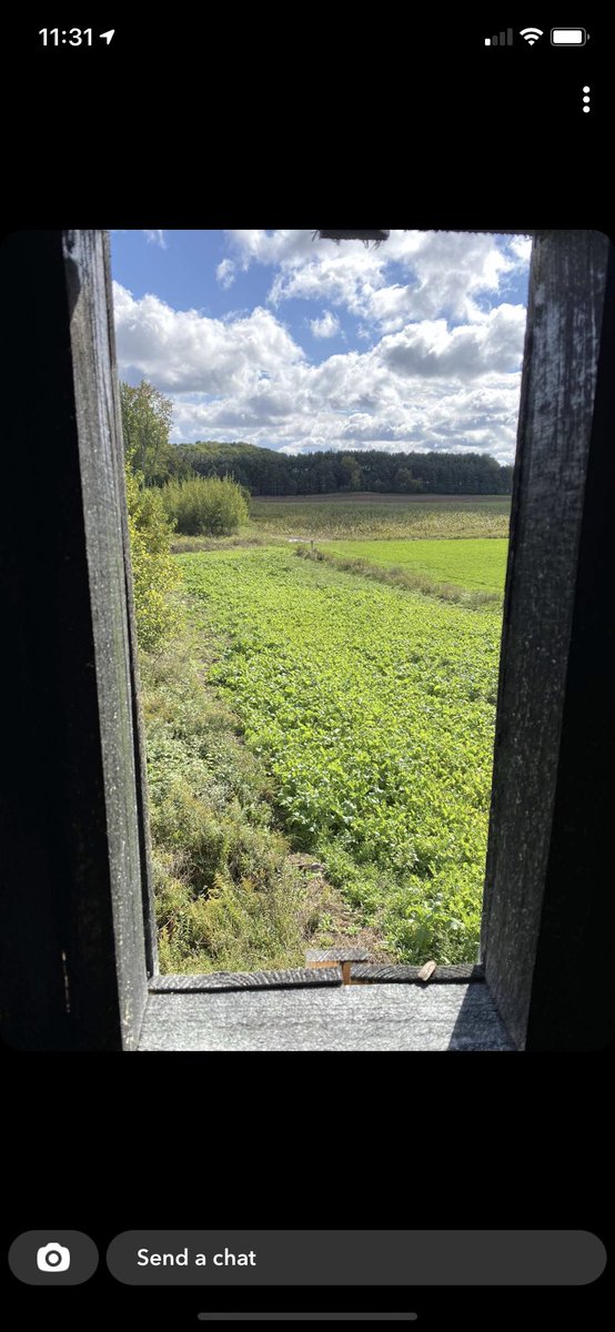 SweeneySeed's tweet photo. Happy opening day, Michiganders!
We hope you get the BIG ONE 🦌! Especially those who used our food plot seeds! 

It Always Pays To Plant The Best! https://t.co/rVCb5luypJ