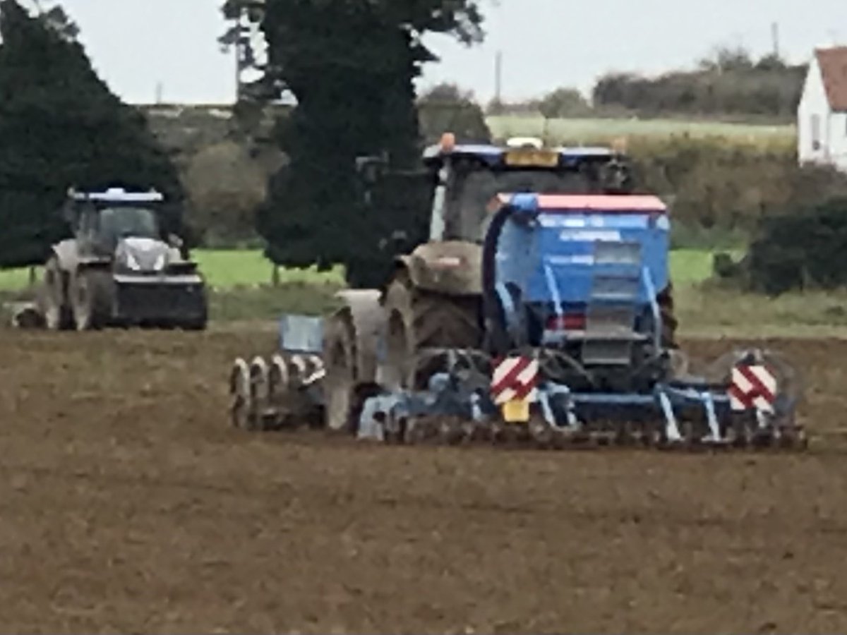 JimScarratt's tweet photo. Last of the #crusoe seed crop going in today for @SaxonAg @TomBurt88 leaving Harry and Nathan 90ha to drill up behind sugar beet. #novemberdrilling #niceconditions #chasingtheharvester https://t.co/E7evjMuzd4