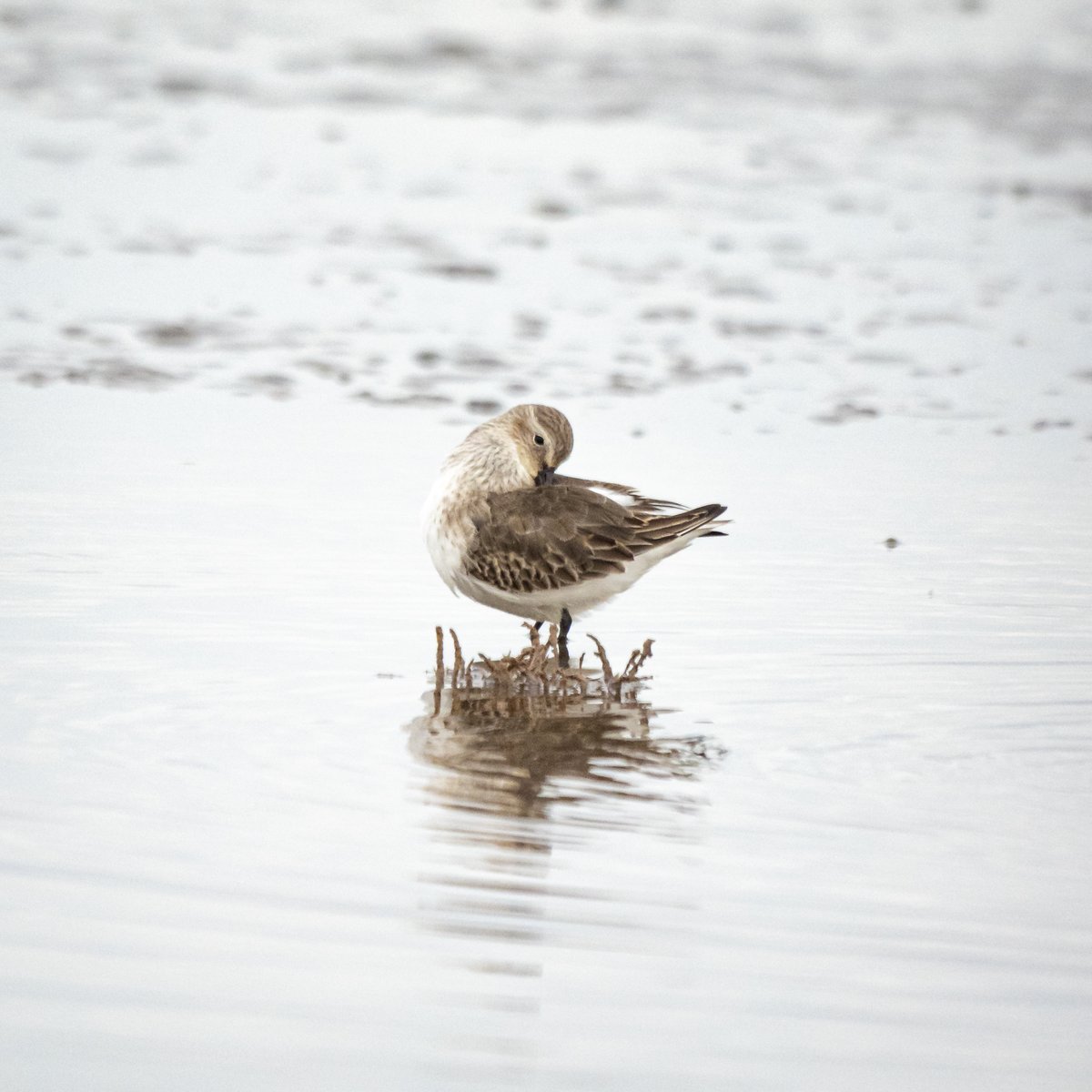 rawpicjohn's tweet photo. stetterton beach https://t.co/kT5oJ5zl8g