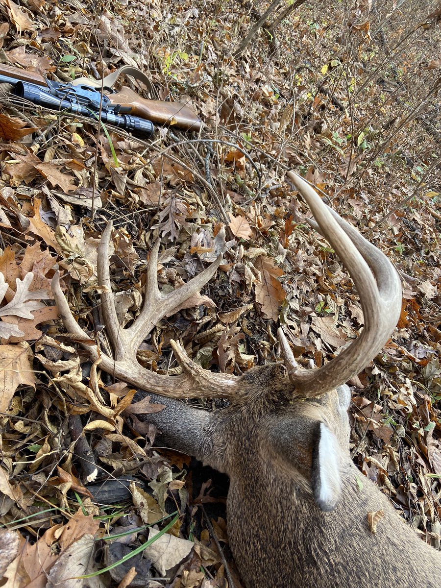 Mike_D_Murry's tweet photo. I was lucky enough to put down this dude yesterday. #11pointer https://t.co/4l2bFUiPcC