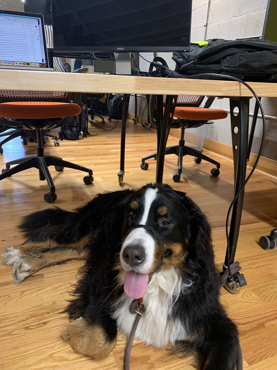 Toby in the house today! (1/2)