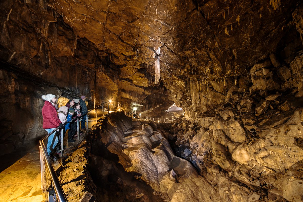 TheHolidayCots's tweet photo. During your stay at Lowe Street Mews, be sure to visit the incredible @Poolescavern! Guides will escort you through the chambers as you learn all about their fascinating history.
🛏️ Sleeps 1-4
https://t.co/0Acgpm6NvG
#Macclesfield #Cheshire #DaysOut #PoolesCavern #FamilyFun https://t.co/a1wiXXEiq4