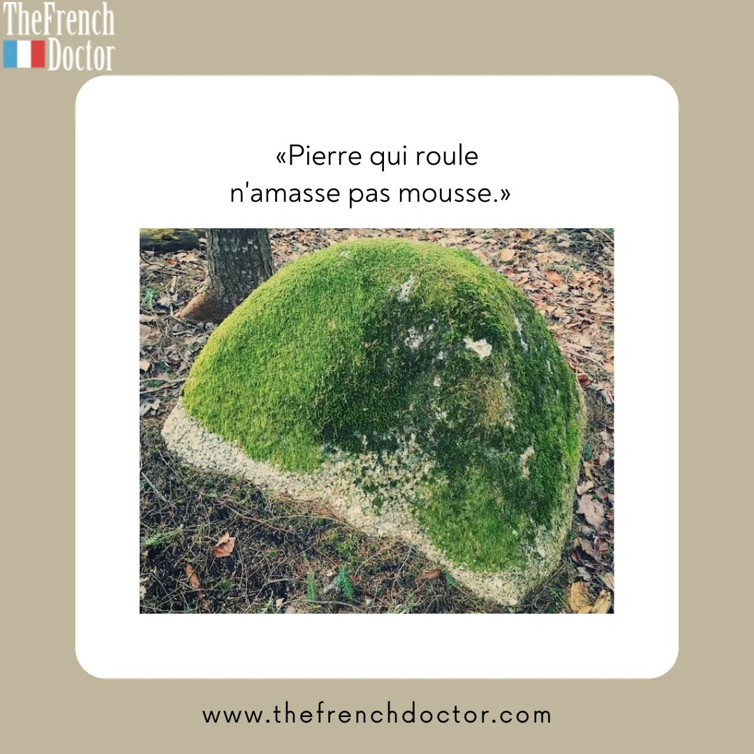 #lundi #Mondayvibes #français #French #thefrenchdoctorhalifax #learnfrench #meme #travail #frenchforwork #expressions #speakfrench #FSL #FLE #motivation #inspiration