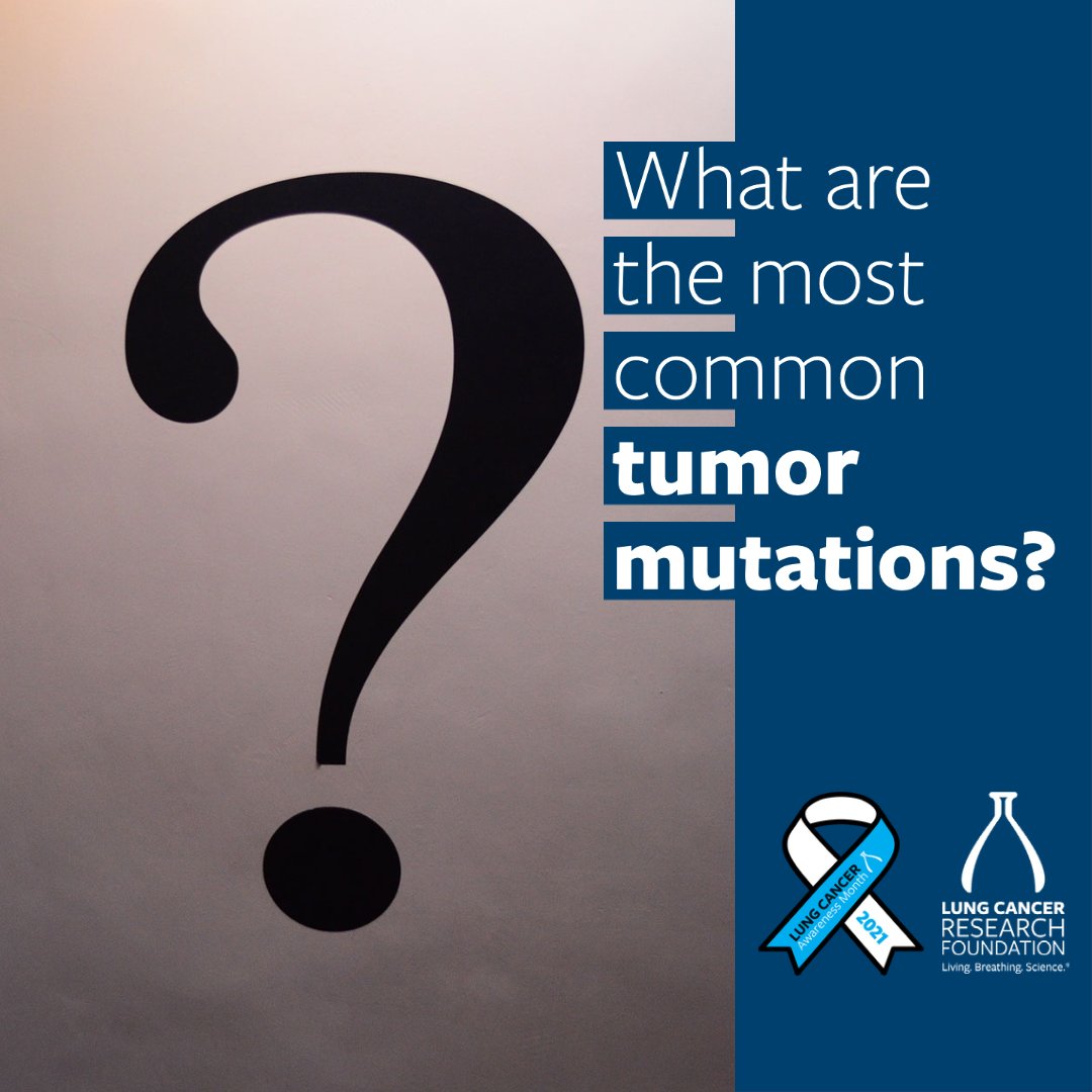 lcrf_org's tweet photo. What do you know about #lungcancer tumor mutations? Learn how testing for mutations can give patients treatment options – and hope. https://t.co/hBg1T4aqAX #LCAM https://t.co/TK9xpTuuNd