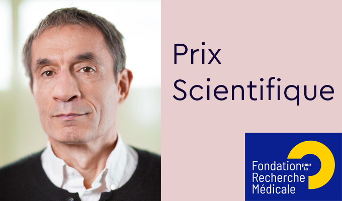 ESPCI_Paris's tweet image. Toutes nos félicitations à Thomas Préat, lauréat du prix Brixham Foundation de la @FRM_officiel ! Un prix qui vient saluer des travaux innovants pour comprendre les mécanismes de la maladie d'#Alzeihmer
@INSB_CNRS @psl_univ @EnergyMemoryLab  @CNRS_Paris
espci.psl.eu/fr/actualites/…