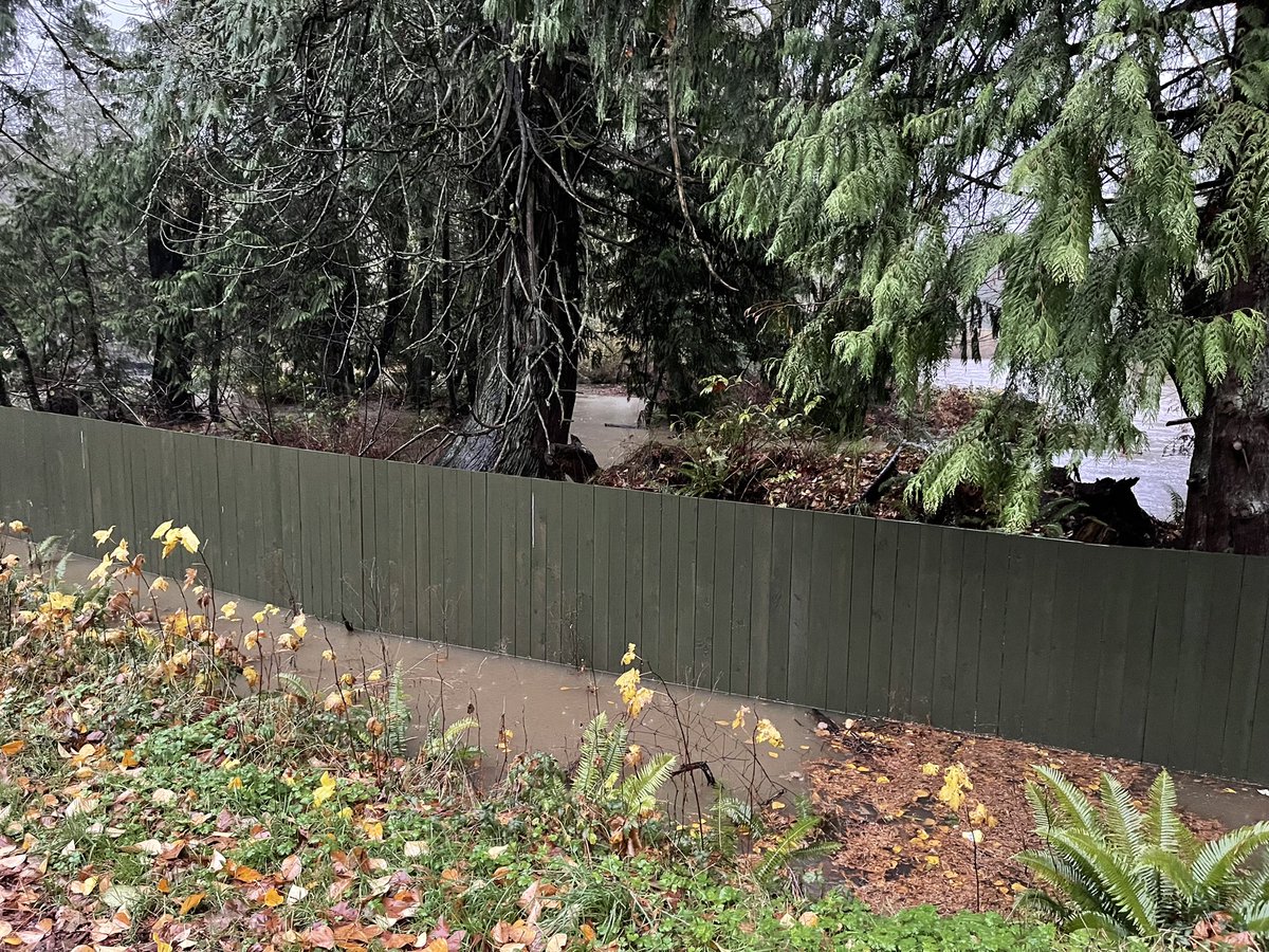Dashwood6's tweet photo. Little Qualicum River is a tad high! @MainroadMIsland #bcstrom https://t.co/ELHudfyTls