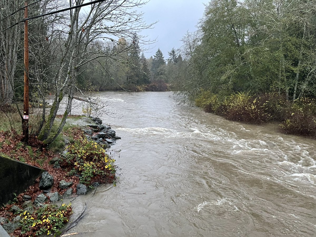 Dashwood6's tweet photo. Little Qualicum River is a tad high! @MainroadMIsland #bcstrom https://t.co/ELHudfyTls