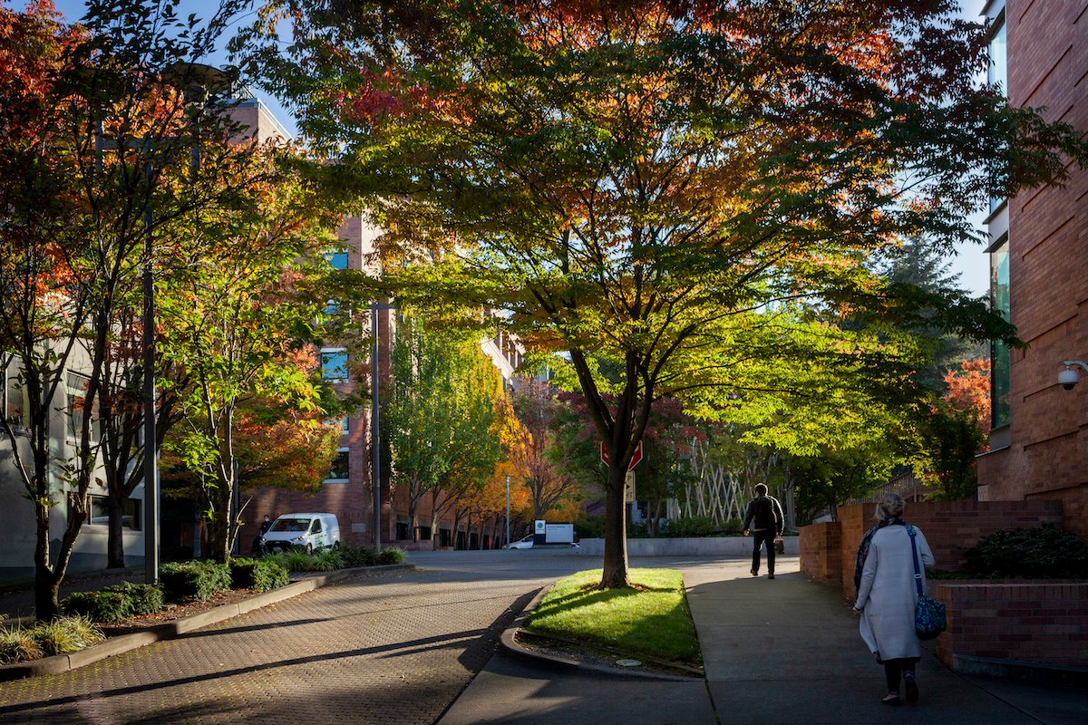 fredhutch's tweet photo. The Hutchinson Institute for Cancer Outcomes Research (HICOR) at Fred Hutch invites applications for a full-time faculty member in #healtheconomics and/or health services research in cancer. Learn more and apply: https://t.co/JHB7XIJQTn https://t.co/sfdDebI2Rc
