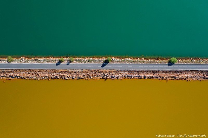 unep_espanol's tweet photo. Más de 7.000 imágenes de fotógrafos de 119 países abordan algunos de los principales desafíos ambientales de hoy.

Erosión costera, inundaciones, incendios forestales...

Acá puedes ver las ganadoras del premio Fotógrafo ambiental del año 2021: https://t.co/ptjplhGwzp https://t.co/U90XPadGPQ