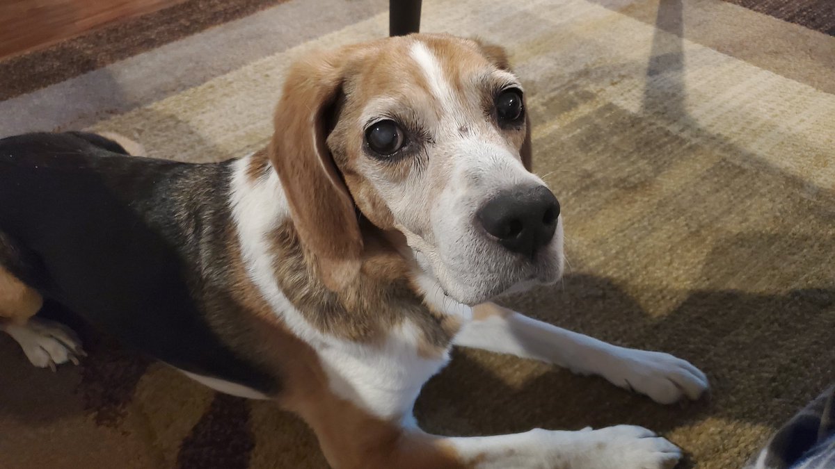 PawseButton tweet picture