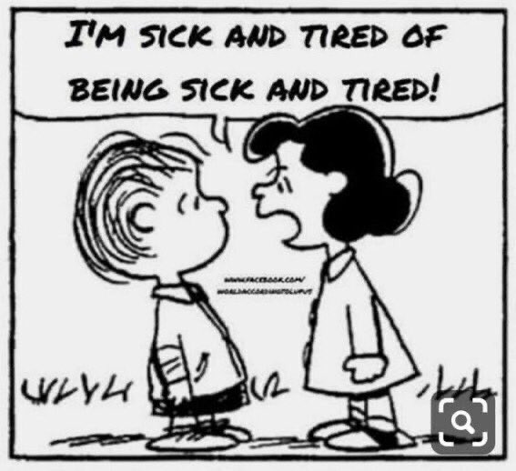 Imre Grimm tweet media