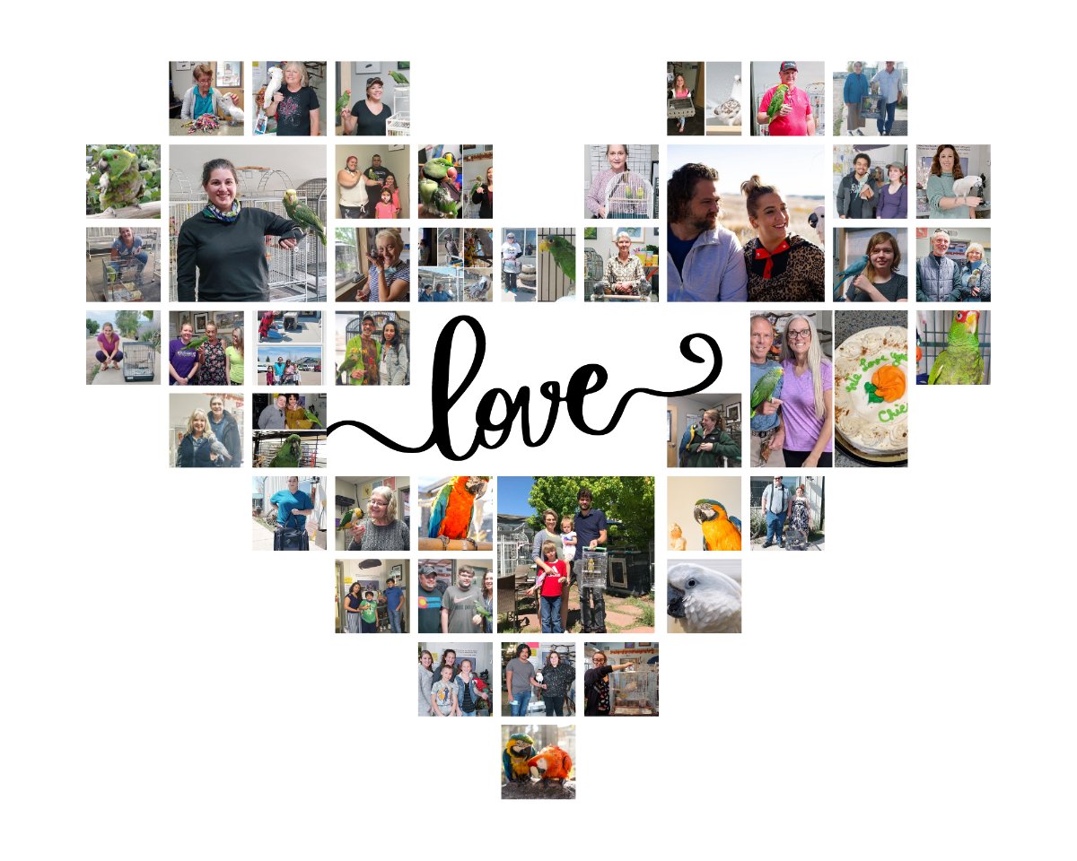 Golden Days of Autumn - mailchi.mp/thegabrielfoun…