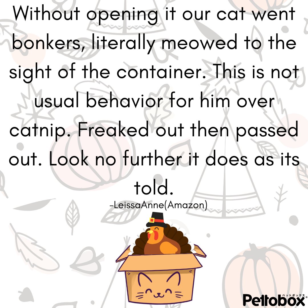 pettobox's tweet photo. Thank you to all the cat parents for your support, kind words, and sharing your experience with us. Share your personal experience or connect with us at support@pettobox.com or @pettobox on any of our social media platform. 

#supportsmallbusiness

❤️🧡💛💚💙💜🖤 Pettobox Team https://t.co/blvllFu8Ga