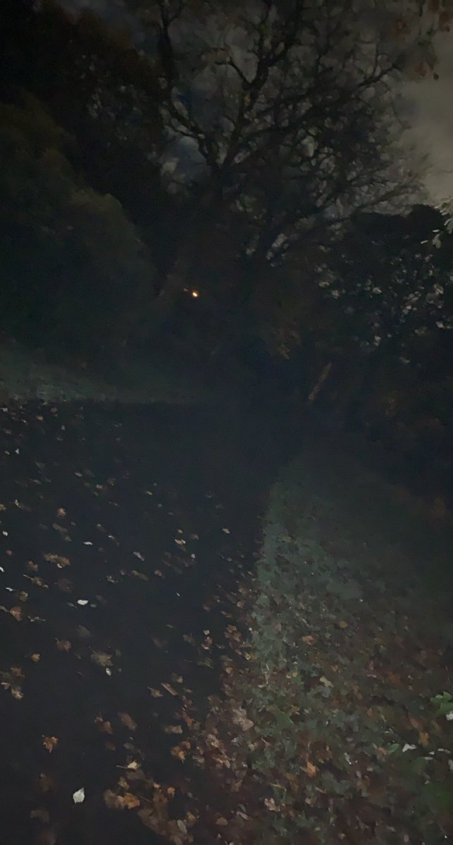 leanne_89x's tweet photo. @NewcastleCC Please can we get the lights in Leazes Park fixed ASAP staff at @NewcastleHosps commute through here daily. These were taken tonight…one with flash and one without. https://t.co/QX51w8Hp7X