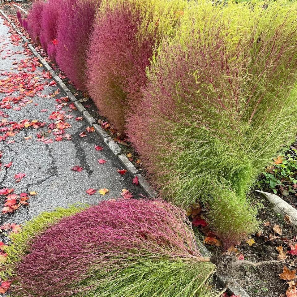 Vgudl71tipojzm Vgudl71tipojzm