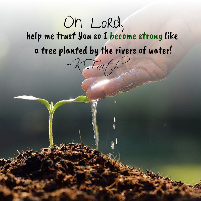 GoFaithstrong's tweet photo. Oh Lord, help me trust You so I become strong like a tree planted by the rivers of water! ~KFaith #dailyprayers https://t.co/KG25NSmwNM