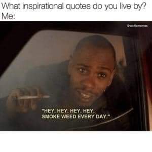 topcutfarms's tweet photo. #MemeMonday #toofunny #TopCut #topcutfarms #heyheyhey #hahaha #wisewords #newaromaoftacoma #smokeweed #everyday https://t.co/K0nDyVwEya