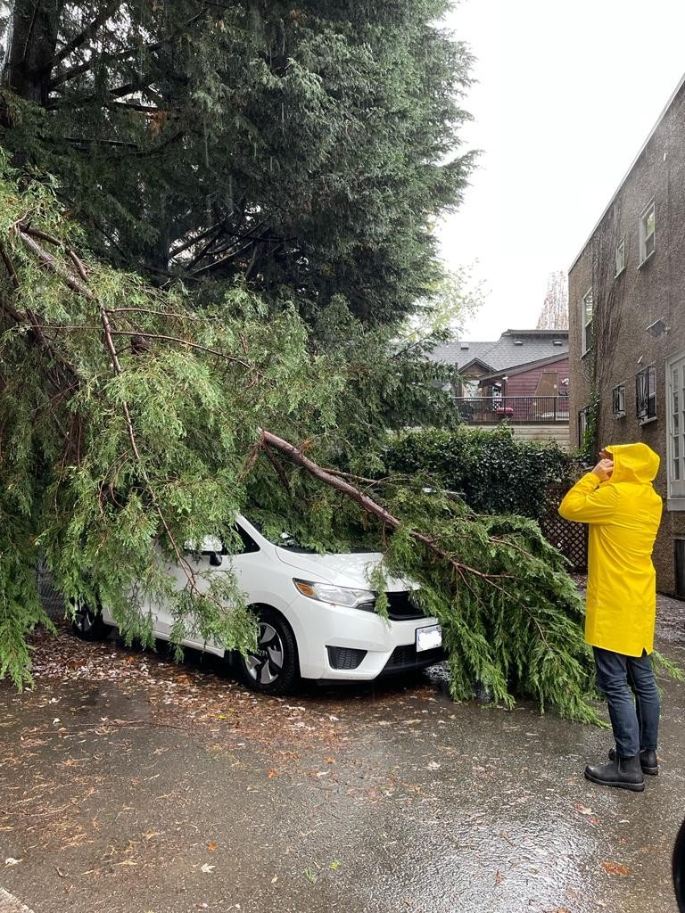 aceblazer25's tweet photo. 24 hours and the tree branch that fell on my car and a utility wire is still stuck on top while the City and utility companies discuss who is responsible #vancouver #bc #BCStorm #WestEnd https://t.co/yZyW6K6JKP