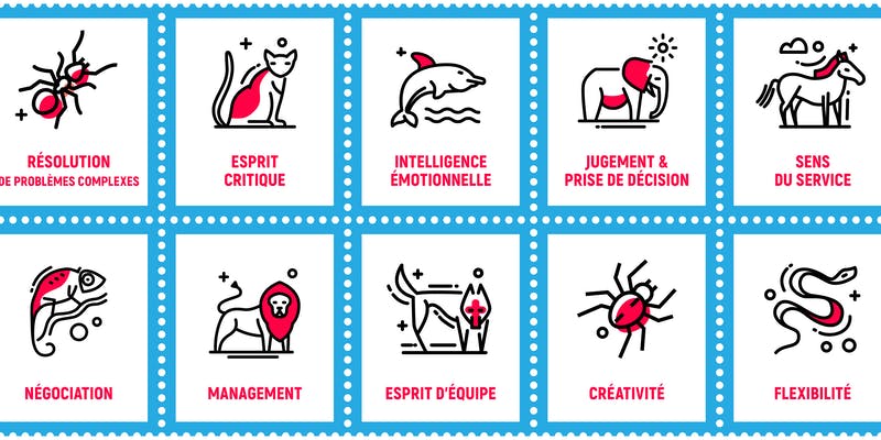 EconomieGest's tweet photo. Top des 10 #Soft_Skills les plus recherchés par les recruteurs.
https://t.co/Pe7mUKsUj8 https://t.co/41eE47bSy8