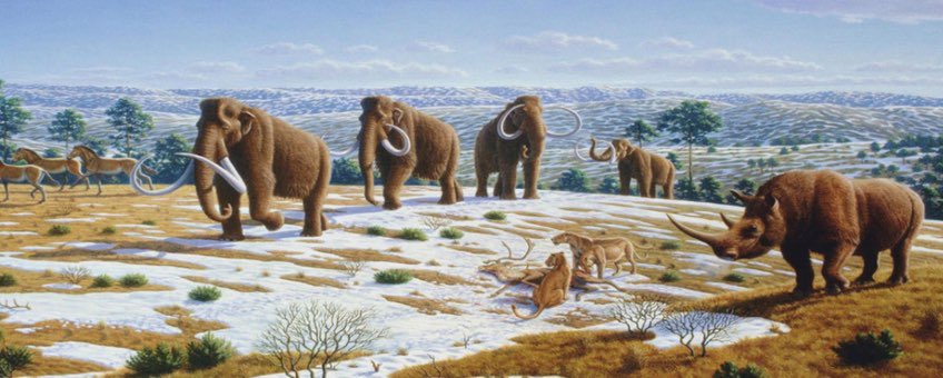 <a href="/bimbombram/">Bram Bombeek</a> #Pleistoceen #Mammoetsteppe #Megafauna