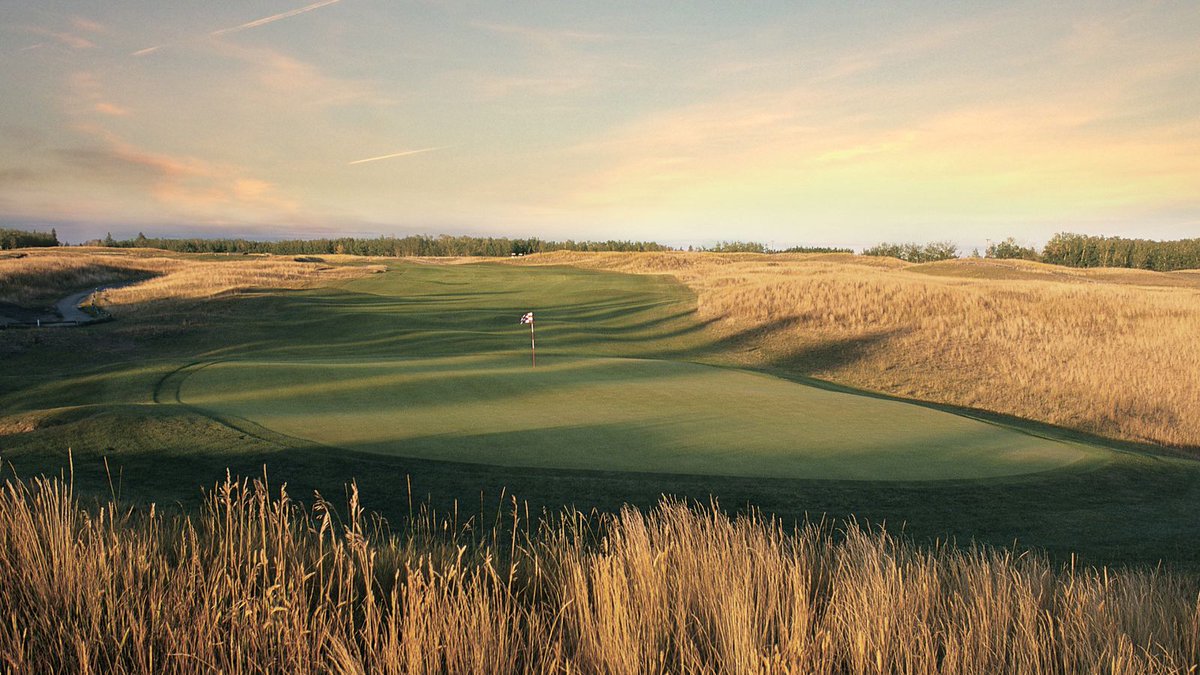 wolfcreekgolf's tweet image. It's the most wonderful time of the year! 

Christmas Specials are LIVE on our Online Store! Click the link below!

myemail.constantcontact.com/subject.html?s…