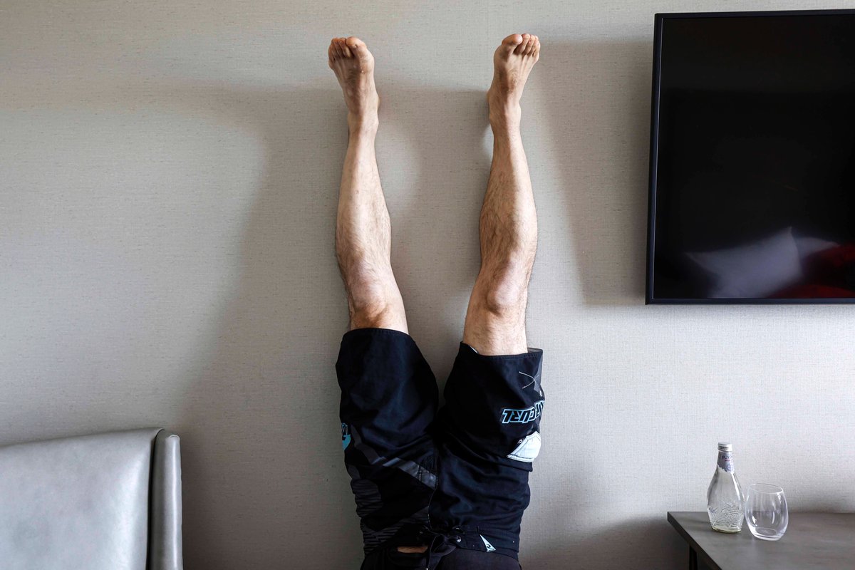 Felipe Trueba tweet media