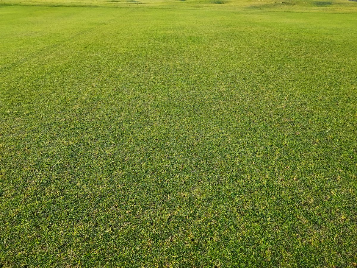 JasonNorwood88's tweet photo. Beautiful morning whilst out on course prep followed up with some needle tine work on the greens down to 120mm. #goodtines #greenkeeper #golf #Highlands https://t.co/c43m6jN4qU