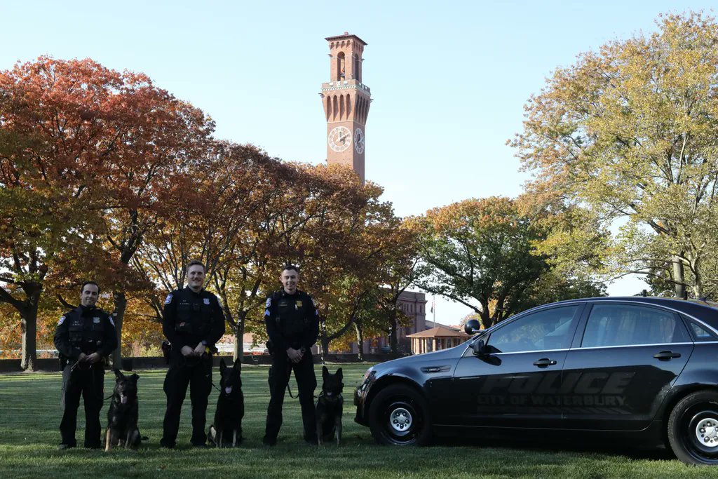 WaterburyPD's tweet photo. Meet the Waterbury PD K-9 Team! Our four legged partners help us protect and serve the Waterbury community. (From Left - K-9 Blitz, K-9 Nico, K-9 Bane) #wtbypd #k9 #policedogs #publicsafety https://t.co/5iKEngT2yZ