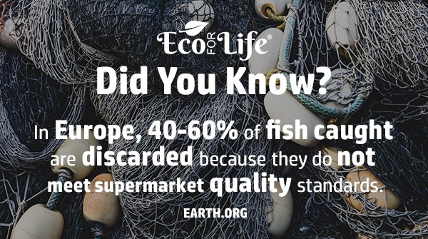 Did you know... 💭

Absolutely terrible waste, no wonder wildlife is disappearing! This has to stop! 🌍

#ecoforlife #makeachange #plasticfree #bottle #waste #plasticpollution #reduceplasticpollution #pollution #environment #oceanpollution #plastic #litter #didyouknow