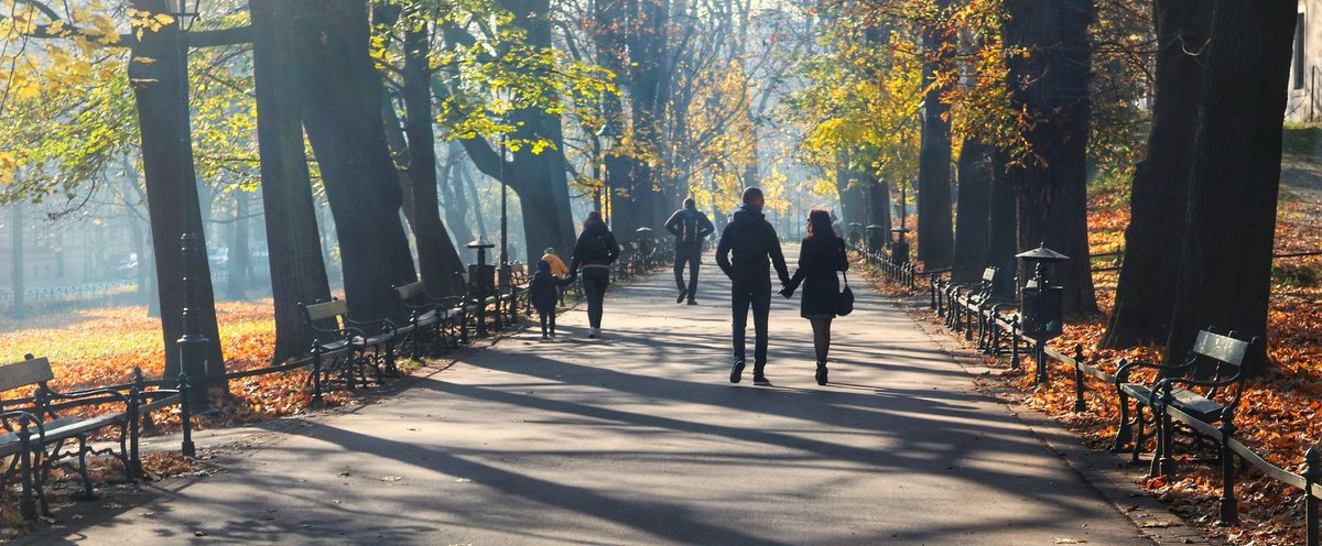 GradzielJustyna's tweet photo. Jesień na krakowskich plantach 
#jesien #AutumnFalls #Krakow #morning #November #novemberwalk #photo #phptooftheday https://t.co/DmqdpVpSV7