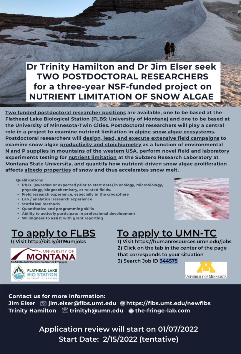 DrLimnology's tweet photo. @trinity_lh & I are looking for TWO postdocs for NSF-funded Snow Algae project! We will be hunting alpine snow algae & testing for nutrient limitation & impacts on bioalbedo. Please RT!
For MT: https://t.co/yUueOmIl2p
For MN: https://t.co/JhGkhdOd2x search 344575 https://t.co/r7kc3JBGgE
