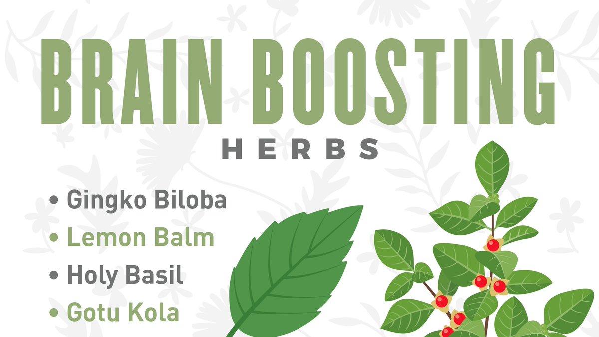 marniwasserman's tweet photo. Add these brain-boosting herbs to your daily routine!

Read more about the benefits: https://t.co/nJnLXQaXbf

#ultimatehealthpodcast #brainhealth #herbs https://t.co/sCPC8pd2Lf