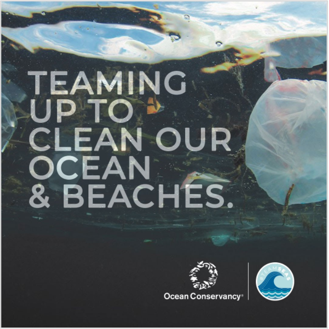 #TeamSeas tweet media