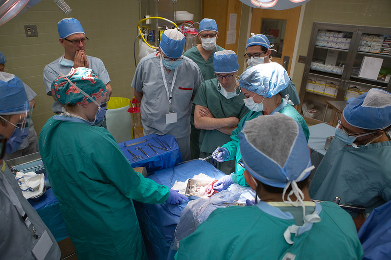 Are you a nurse, nurse practitioner, midwife, or allied health professional working in a non-union or out-of-scope role in rural Alberta? RhPAP’s REAL Program is here for you!

To learn more or apply visit loom.ly/GHMFx2g