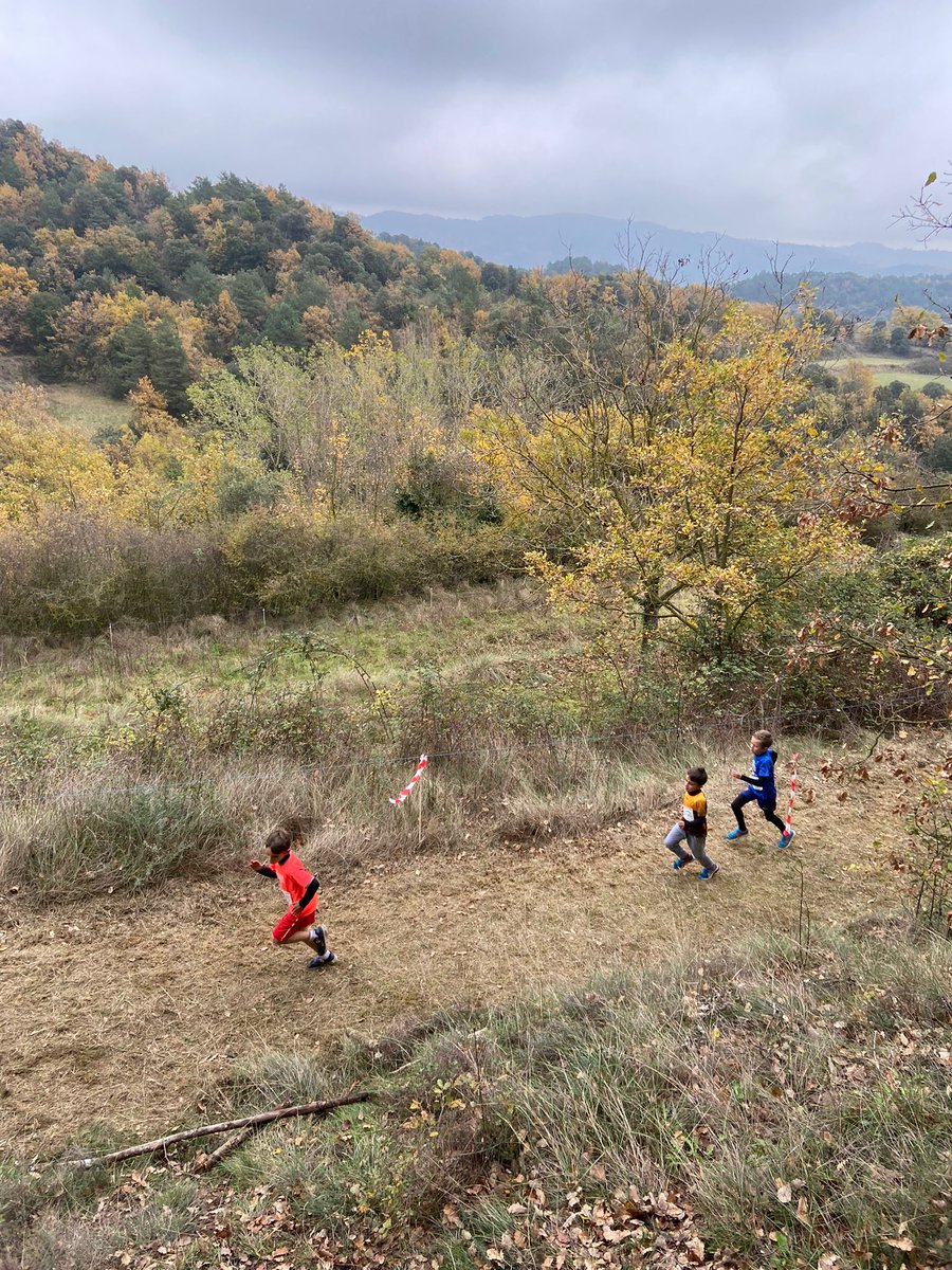 Consell Esportiu d'Osona tweet media
