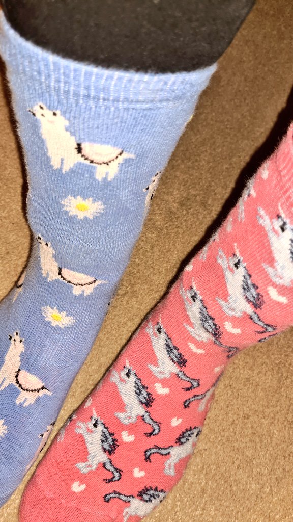 _becca_knowles's tweet photo. #OddSocksDay for #AntiBullyingWeek 

Who doesn't love a Unicorn or Llama!🦄🦙 https://t.co/ALoN4f8SEY