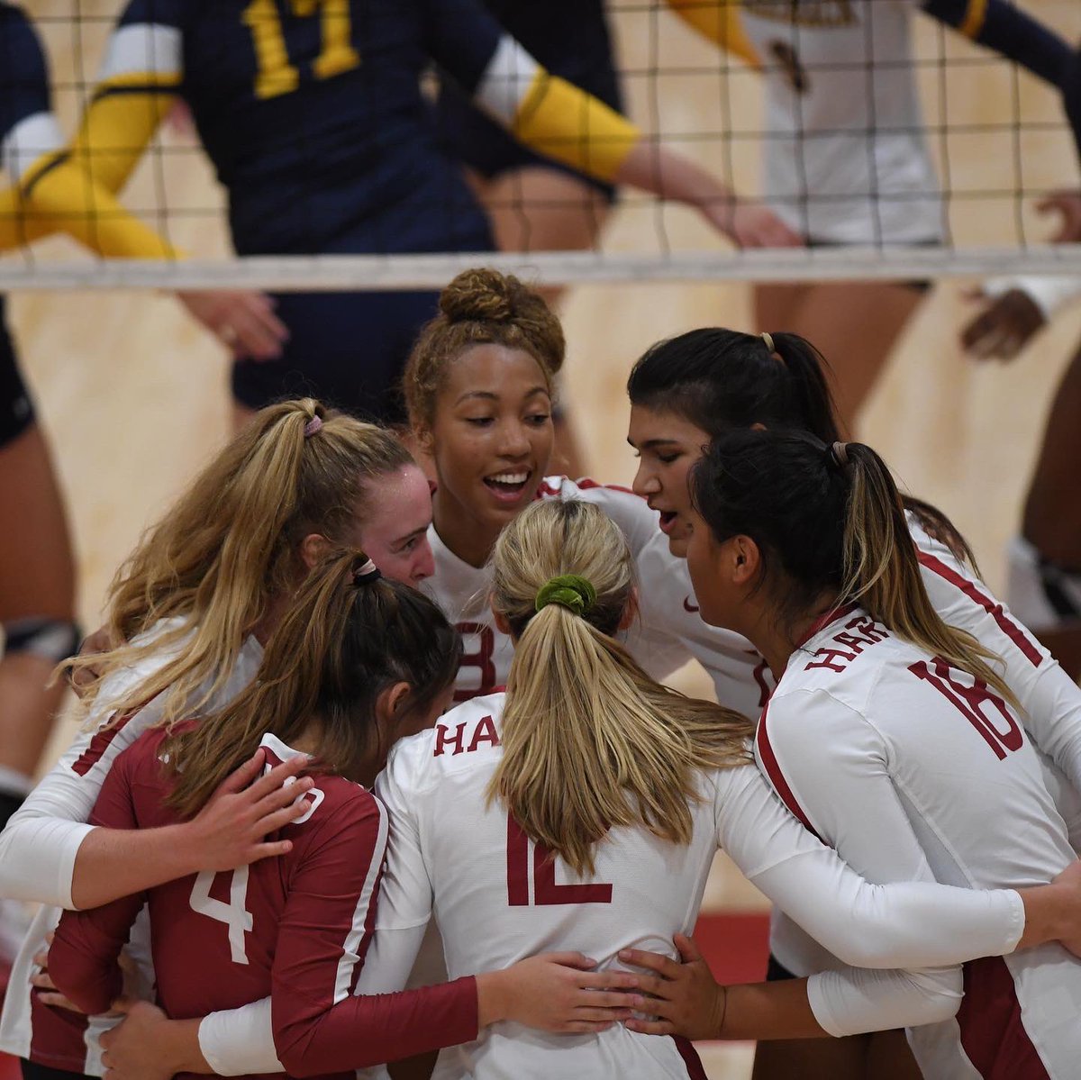 harvardwvball's tweet photo. Thank you to our incredible fans for your support all season long! 

It means the world to us 🙌 can’t wait for next season! 

#GoCrimson #OneCrimson https://t.co/trHzpOVnJI