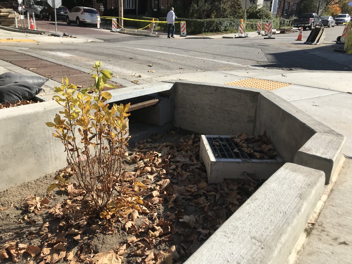 pgh2o's tweet photo. The first shrubs have been planted in the new bumpouts at Solway St and S Negley Ave in Squirrel Hill as part of Phase Two of the Wightman Park Stormwater Improvement Project! More plantings coming this spring. https://t.co/cu3B6ooM3M https://t.co/A609MWBbQT