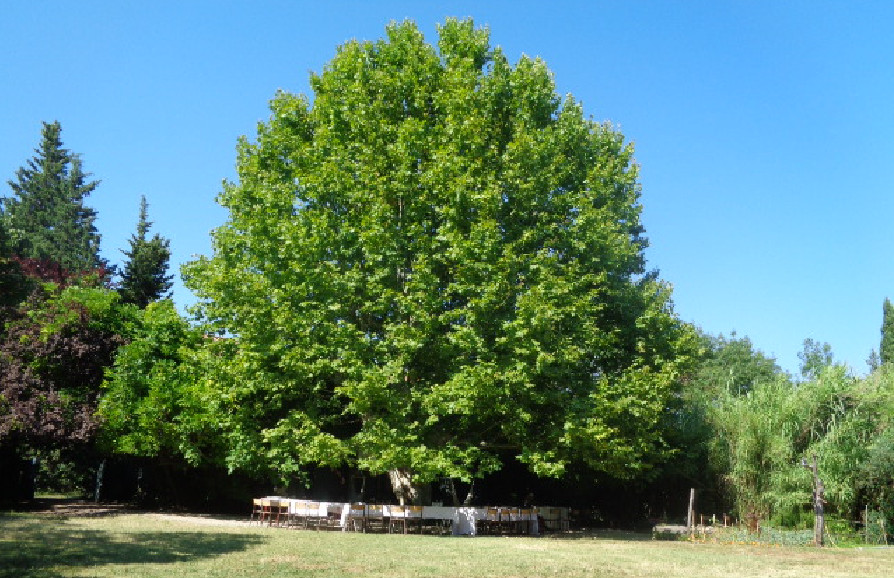 En respect du code de l'urbanisme existant, la Mairie de <a href="/Paris/">Paris</a> peut et doit dès maintenant opposer un sursis à statuer aux projets immobiliers qui "seraient de nature à compromettre" le futur PLU bioclimatique en débat cette semaine au Conseil municipal cavegouttedor.wordpress.com/2021/11/15/sur…
