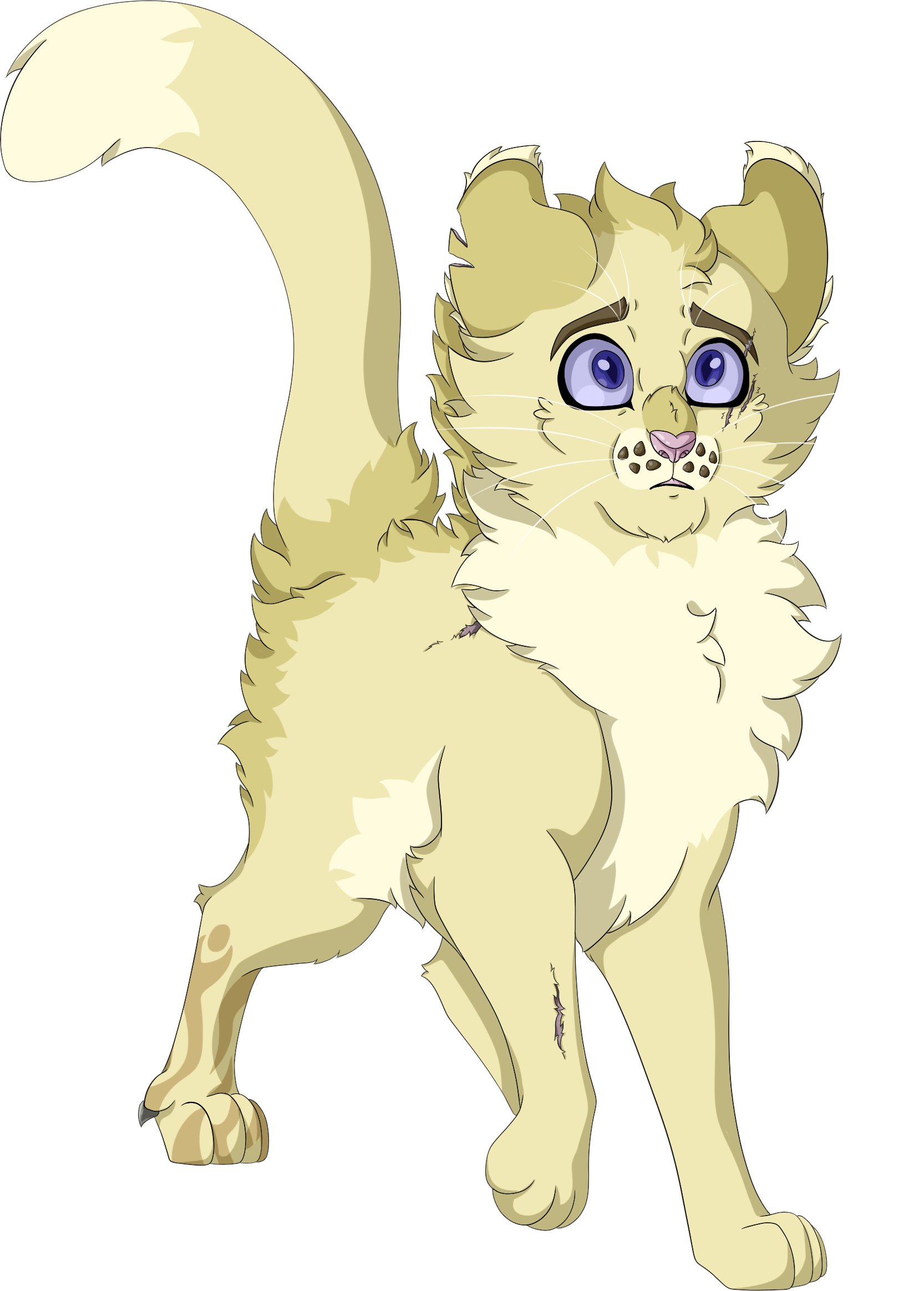 Akira Bright Guardian Twitter