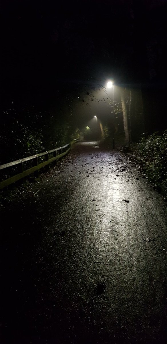 PabloBonzo's tweet photo. Decided to walk from Byker to Regent Centre and my Google Maps is sending me on the most terrifying poorly lit route possible. #RedWalk https://t.co/HBDcMpuGhD