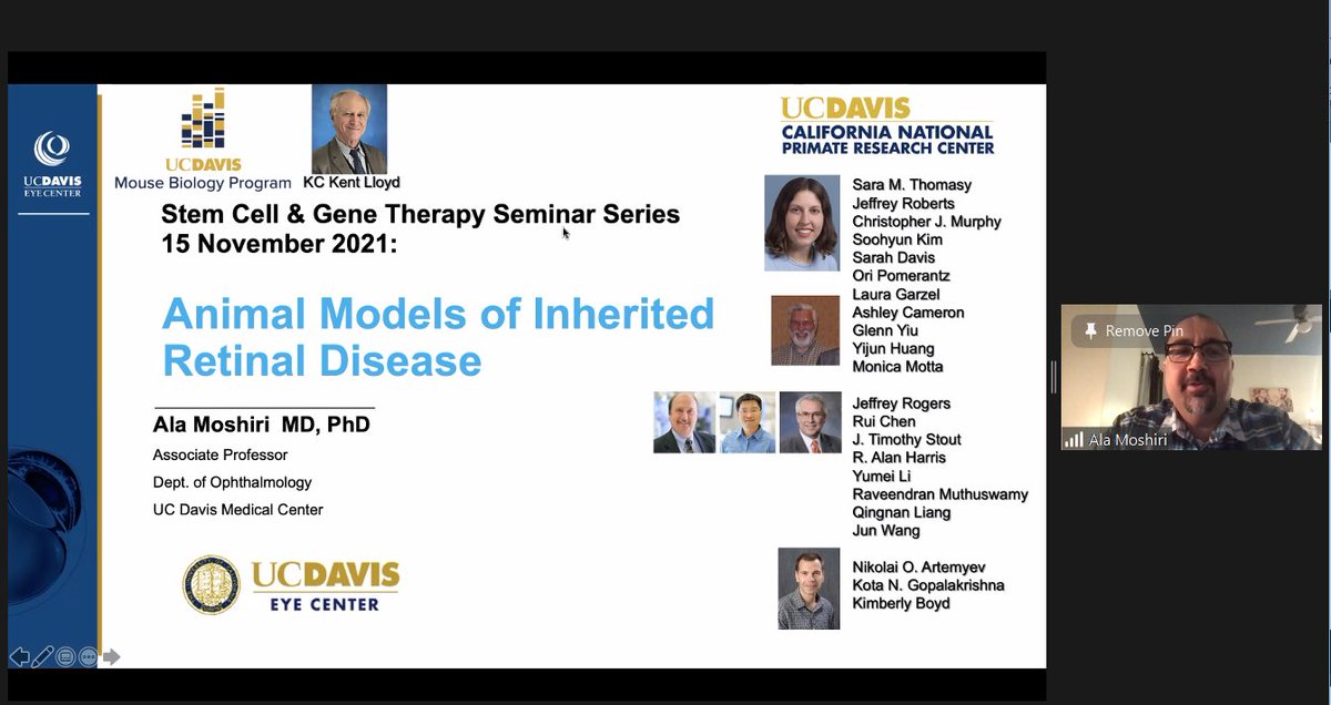 jan_nolta's tweet photo. In our #stemcell and #GeneTherapy seminar series today we are fortunate to have Dr. Ala Moshiri from the @UCDavis Eye Center discussing his exciting work on gene therapy approaches for photoreceptor diseases.
#retinaldisease #retina #retinaldisorders https://t.co/n0W5aQs6Pb