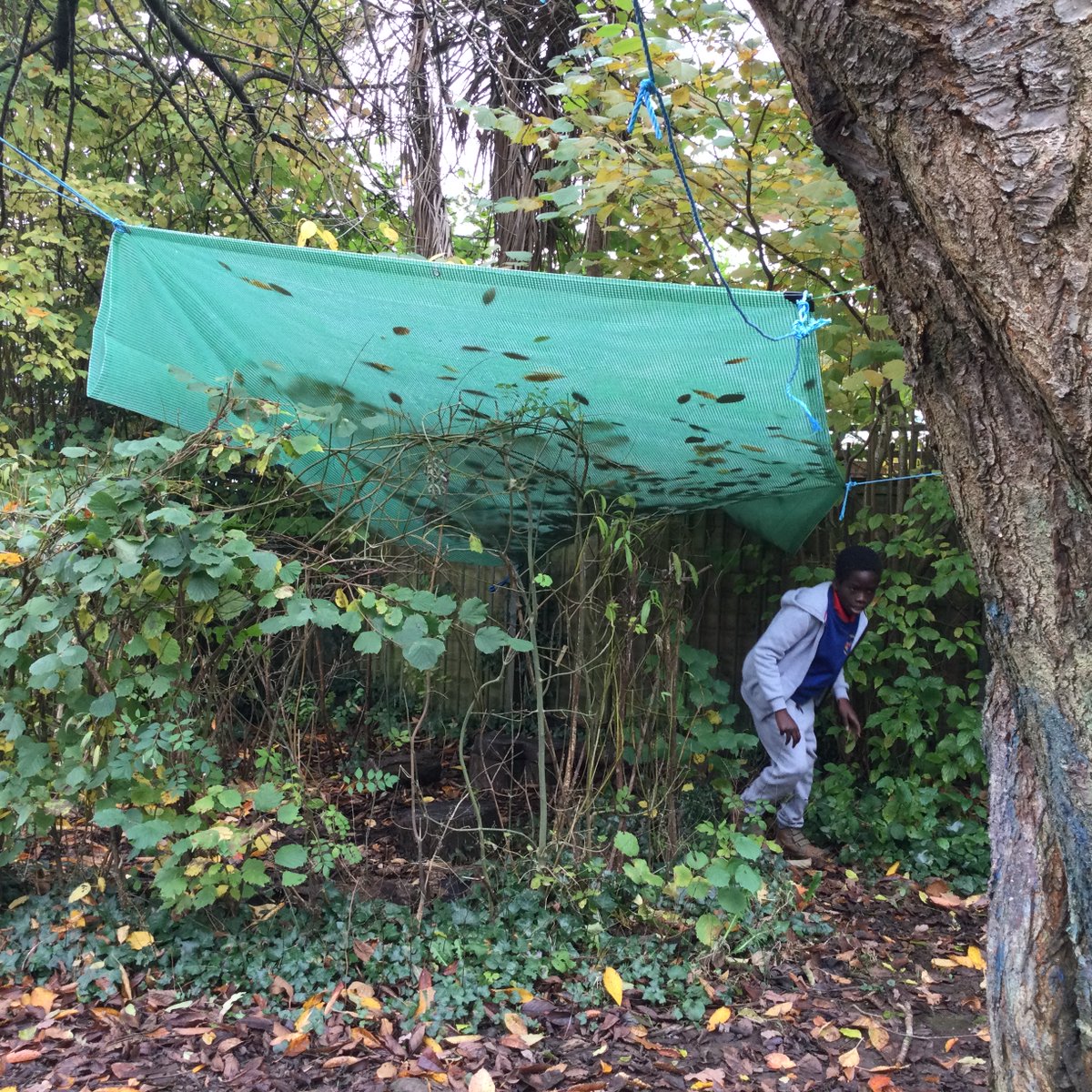 HTPSMrs_Pullin's tweet photo. Year 6 outdoor fun in the Willow Garden. #outdooorlearning https://t.co/mpg2ZyIrMS