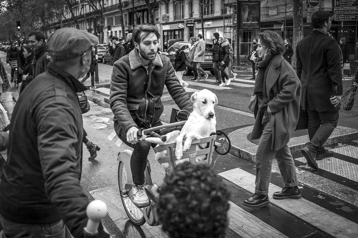 GBouqueau's tweet photo. My contribution to this week’s
@AskMOTT #wac #askmott #photocontest #weeklyphotocontest
The theme was « Mood » https://t.co/ZS4xtwksDV