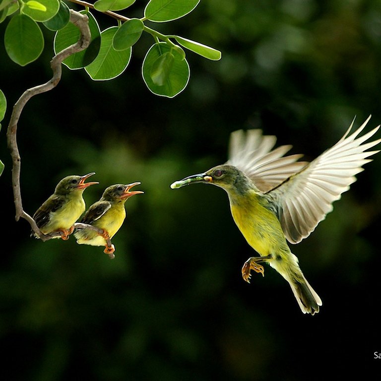 zain_jaz's tweet photo. Dinner๐Times
#nature #view #evening #birds #winter #dinnertimes
๐๐๐๐โ๐๐๐โ๐๐๐๐
ู
ุณุงุก๐ุงูููุฑ https://t.co/cK91n9cLpC