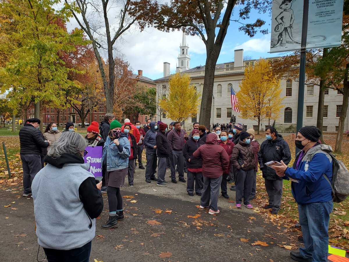 Andrew Bergman tweet media