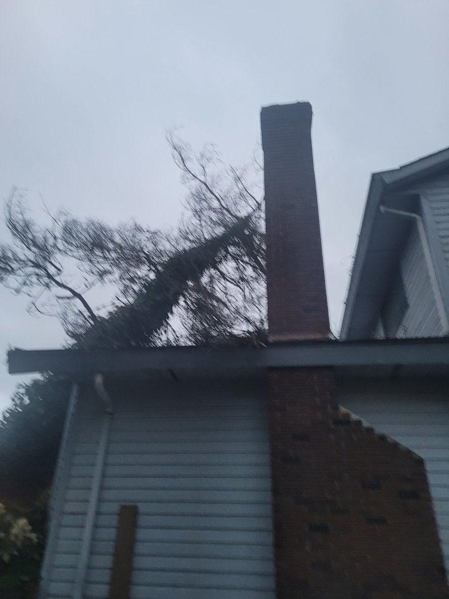 dynamictrees's tweet image. Expect high winds this afternoon. 
#emergencyadvisory 
#emergencytreework 
#BCFlood #BCStorm 
#Burnaby #Coquitlam #Aldergrove #NorthVancouver
 #westvancouver 
#spiralprunning 
#dangeroustreework
#familybusiness 
#smallbusiness 
#technicalrigging 
#chipping #chainsaws