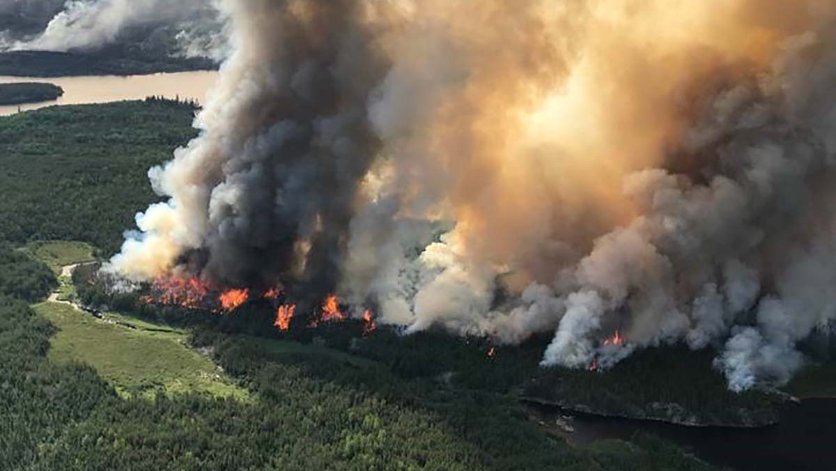 ONforestfires's tweet photo. #FireFact: burning 793,325 hectares, the 2021 #ForestFire season holds the new known record in Ontario for area burned since 1960. The previous record was in 1995 with 713,914 hectares. https://t.co/ptGmNiXlMZ